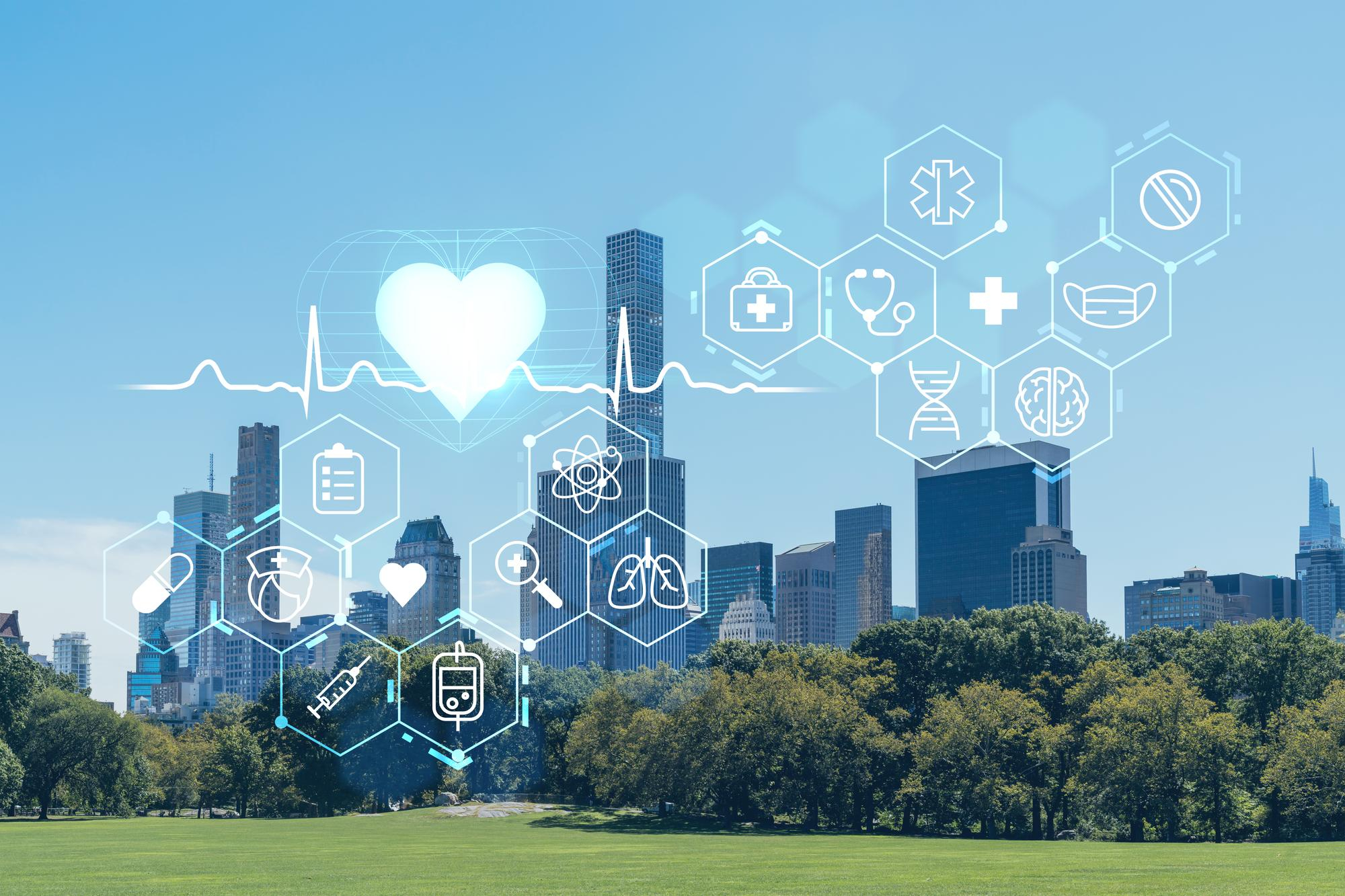 الحقل الصحي